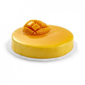CHEESECAKE COCCO E CARAMELLO 1,2 kg